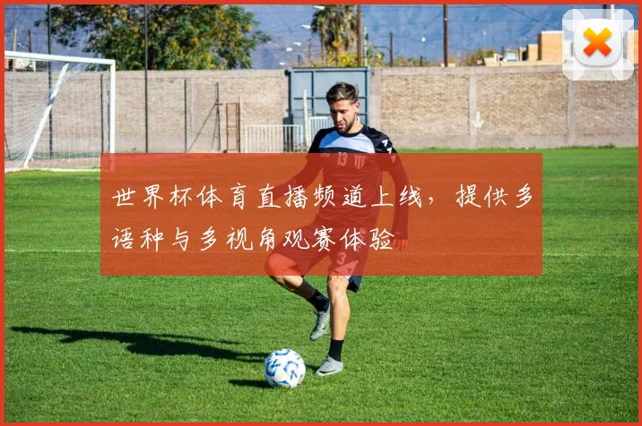 世界杯体育直播频道上线，提供多语种与多视角观赛体验