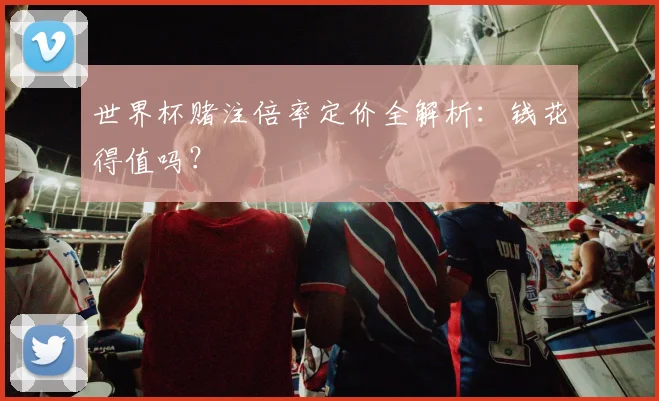 世界杯赌注倍率定价全解析：钱花得值吗？