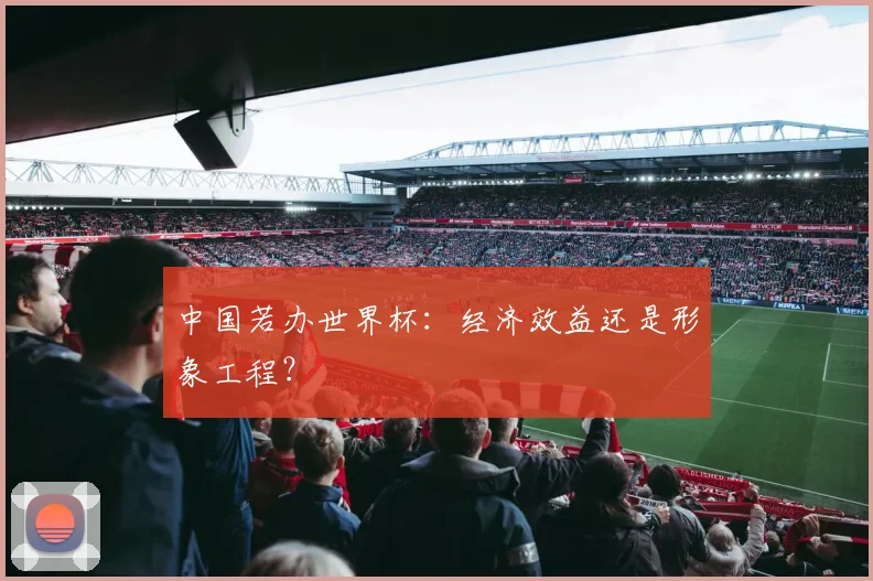 中国若办世界杯：经济效益还是形象工程？