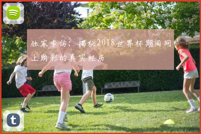 独家专访：揭秘2018世界杯期间网上购彩的真实经历