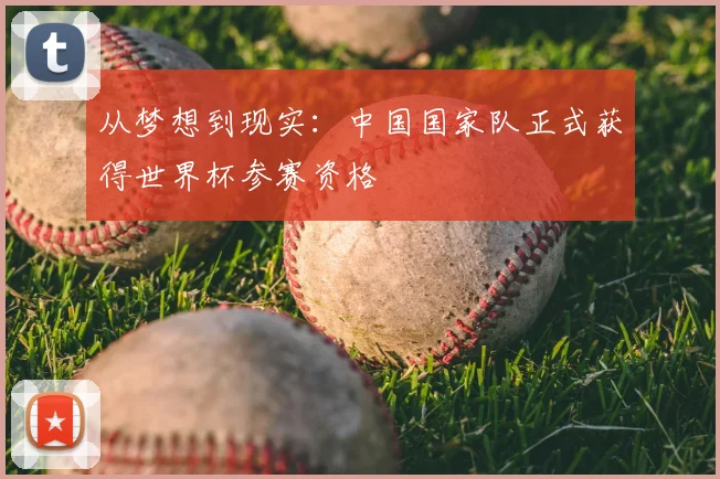 从梦想到现实:中国国家队正式获得世界杯参赛资格