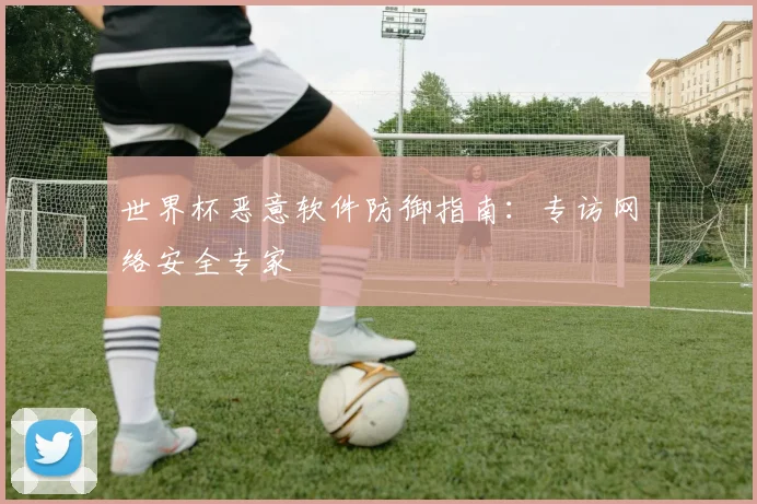 世界杯恶意软件防御指南:专访网络安全专家