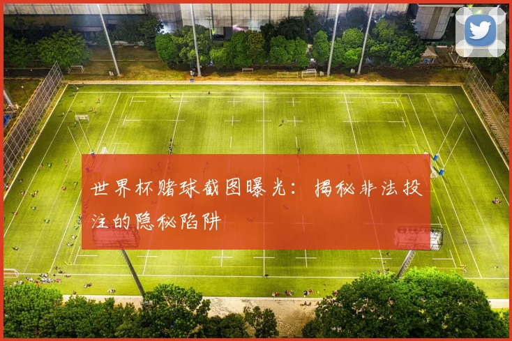 世界杯赌球截图曝光：揭秘非法投注的隐秘陷阱
